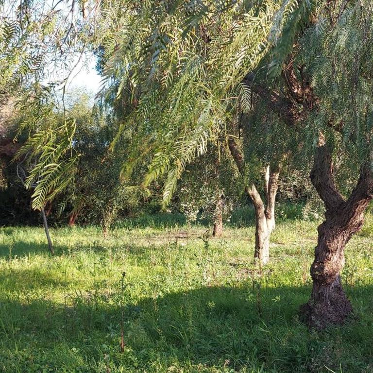 Villa Raffaella - Casa con 2 Camere da Letto - 25
