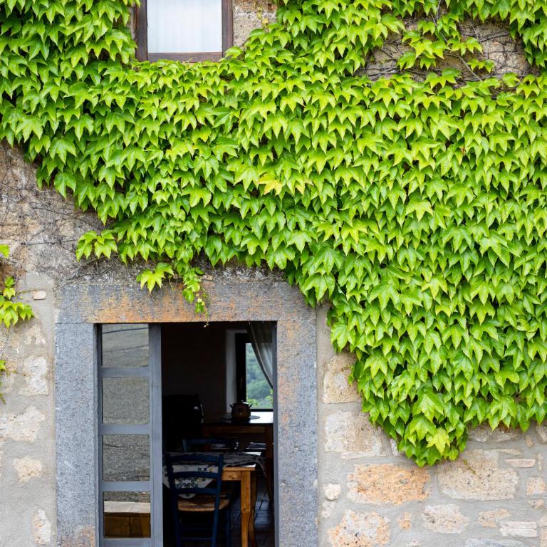 Acqua di Civita Beauty & Rooms in Mercatello - Camera Matrimoniale - 1