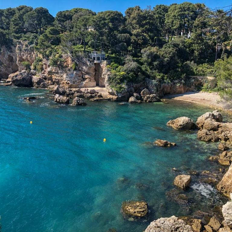 Appartement 2 pièces au cœur du Cap d'Antibes - Appartement 1 Chambre - 16