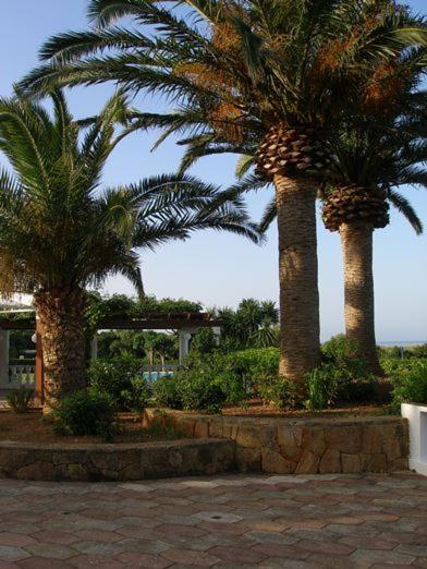 2 Bedroom Apartment , Son Bou - Apartamento de 2 dormitorios - 13