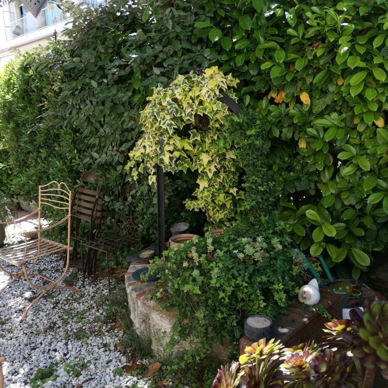 Le Mas provençal de Cannes Studio avec jardin plage et centre à pied - Studio - 25