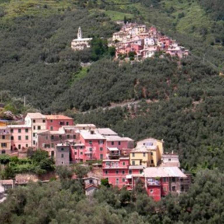 Le case della Lizza - Casa Verde - Appartamento con 1 Camera da Letto - 20