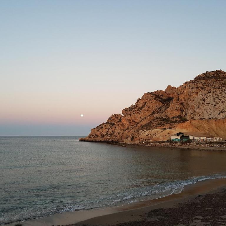 Aguilas Residencial El Cedro BID2 - Apartamento de 2 dormitorios - 20