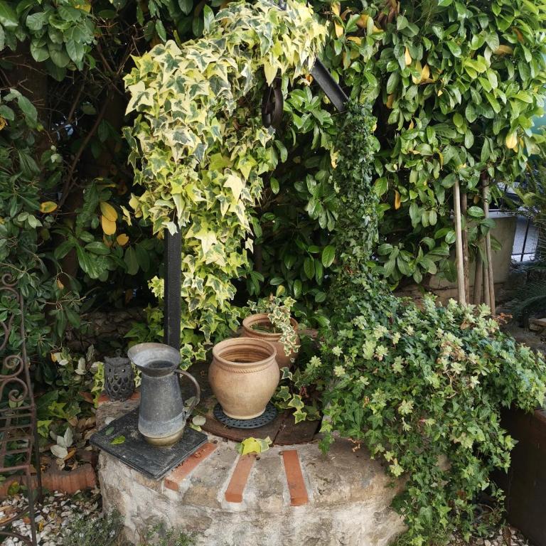 Le Mas provençal de Cannes Studio avec jardin plage et centre à pied - Studio - 24