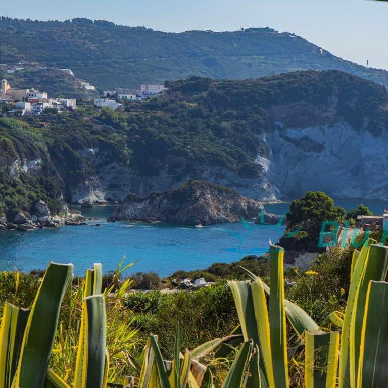BluPonza - 3 posti in zona Mare - App Falco - Appartamento con 1 Camera da Letto - 2