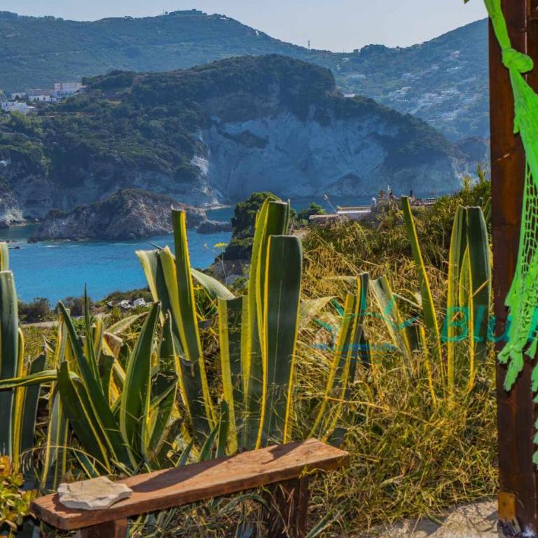 BluPonza - 3 posti in zona Mare - App Falco - Appartamento con 1 Camera da Letto - 12