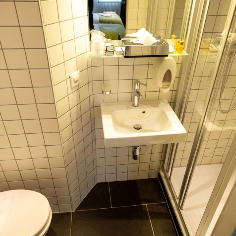 Hôtel du Raisin - Zweibettzimmer - 7