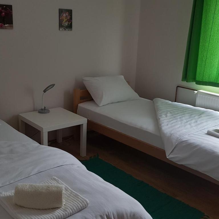 Apartman Jovanović - Apartman sa 2 Spavaće Sobe - 10