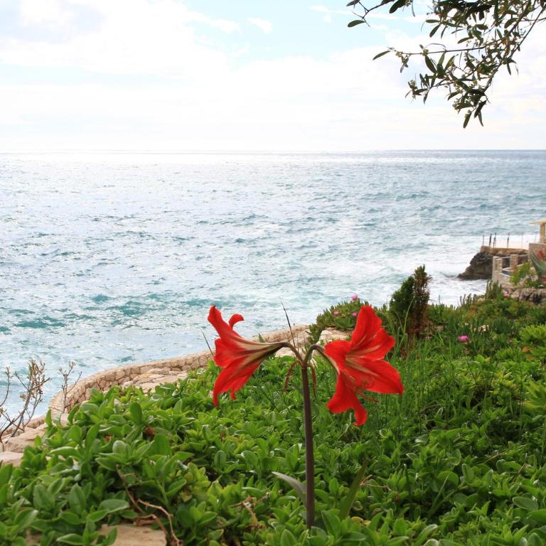 Bella Costa - Studio Apartment - 22