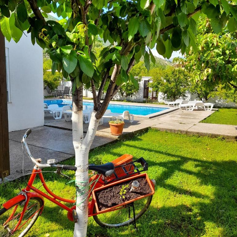 Vacation house Vila Guma Rastani Mostar - Villa - 10