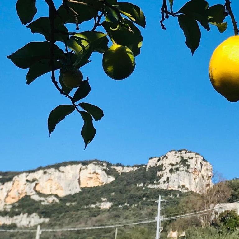 Rocca di Corno Guest House - Appartamento con 1 Camera da Letto - 67