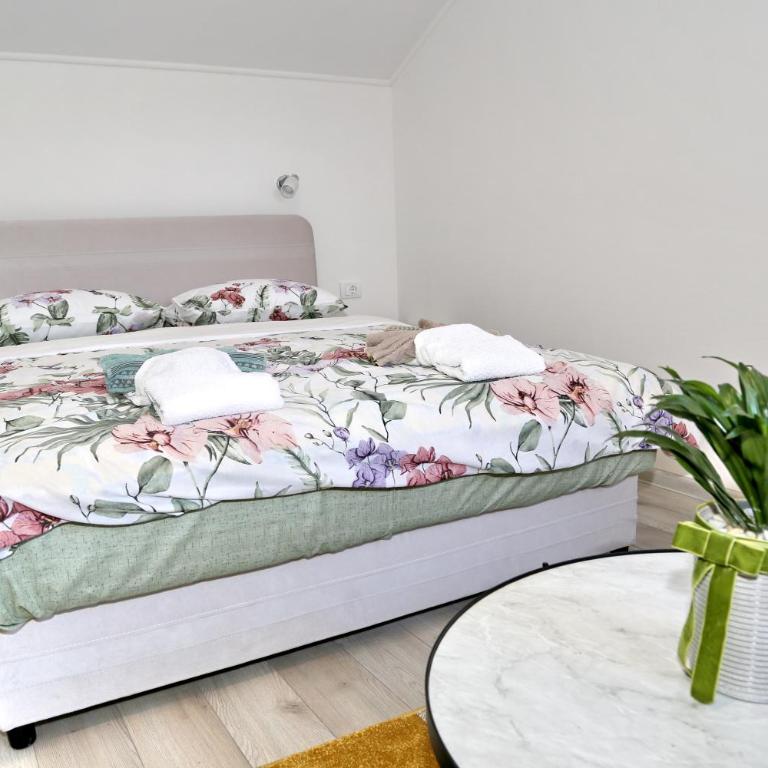 Apartmani Ateljević - Studio Apartman - 8