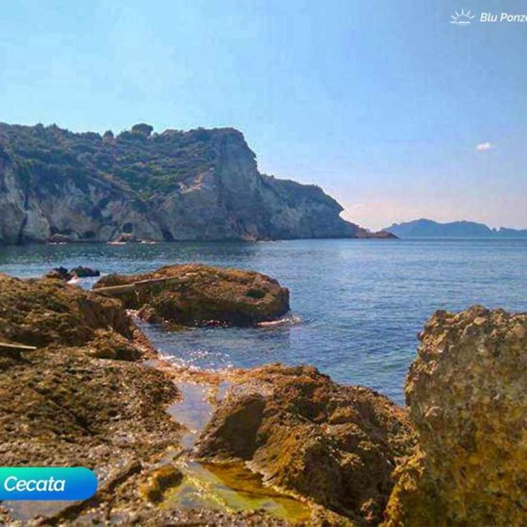 BluPonza - 5 posti in zona Mare - App Parigi - Appartamento con 2 Camere da Letto - 15