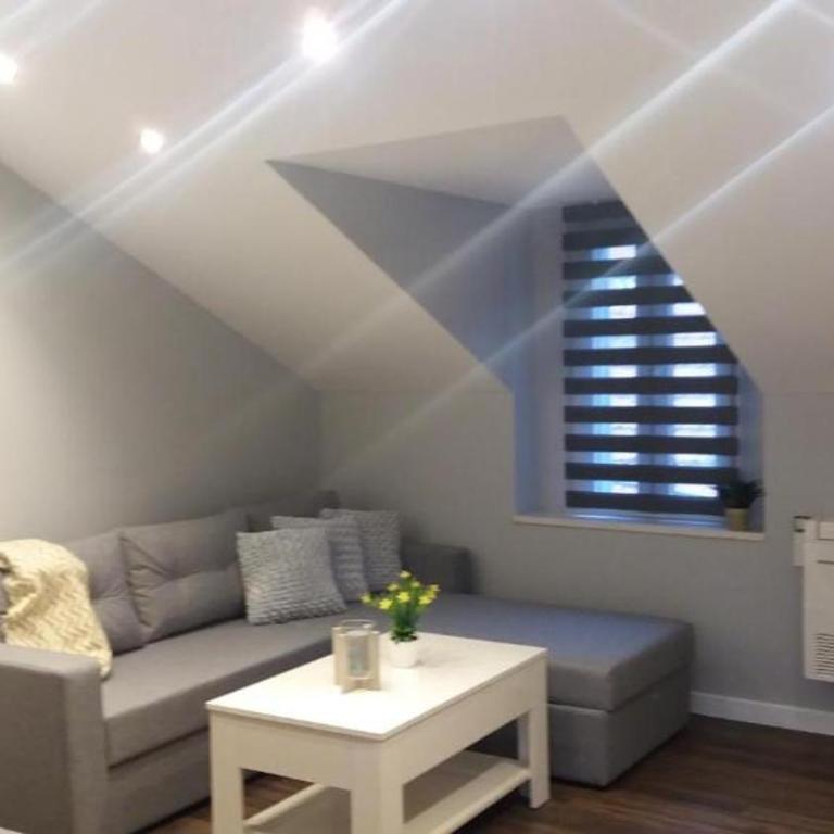 Apartmani Trklja - Apartman sa 1 Spavaćom Sobom - 3