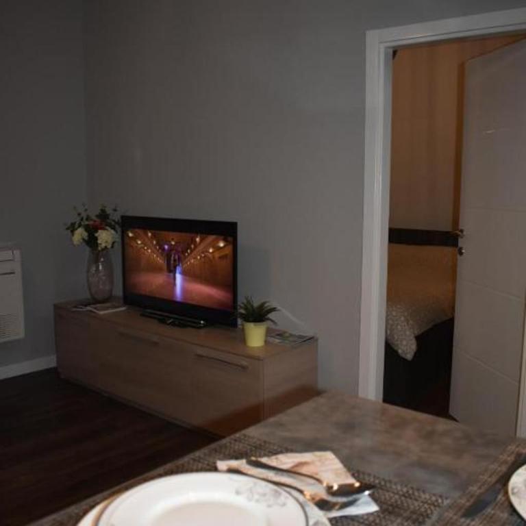 Apartmani Trklja - Apartman sa 1 Spavaćom Sobom - 14