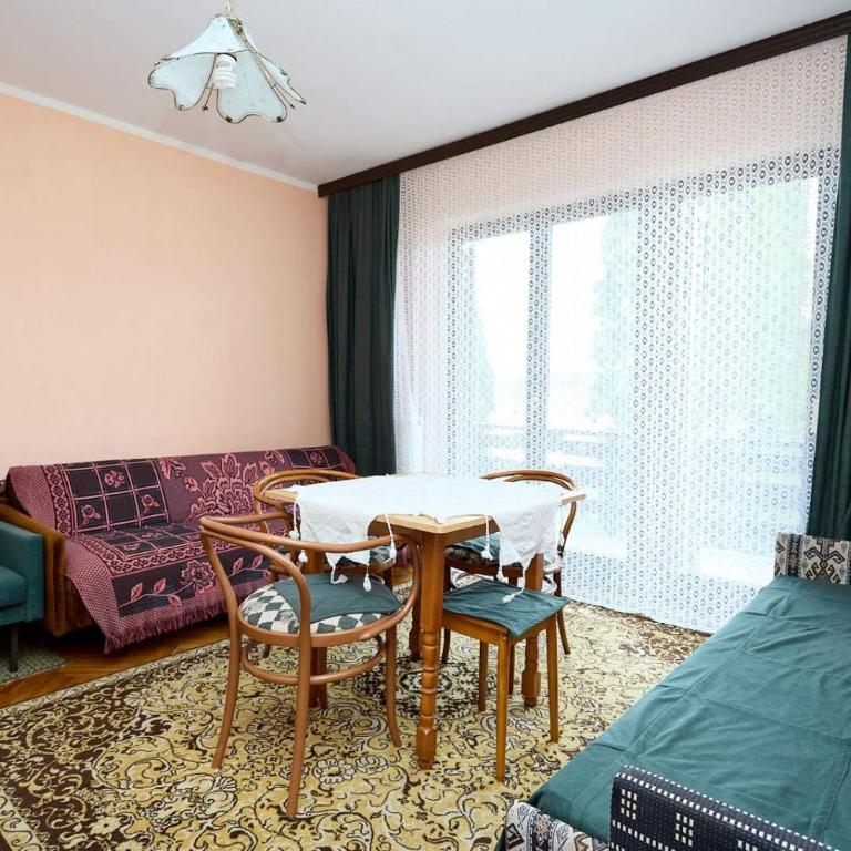 Apartmani Stanojevic Sokobanja - Apartman - 10
