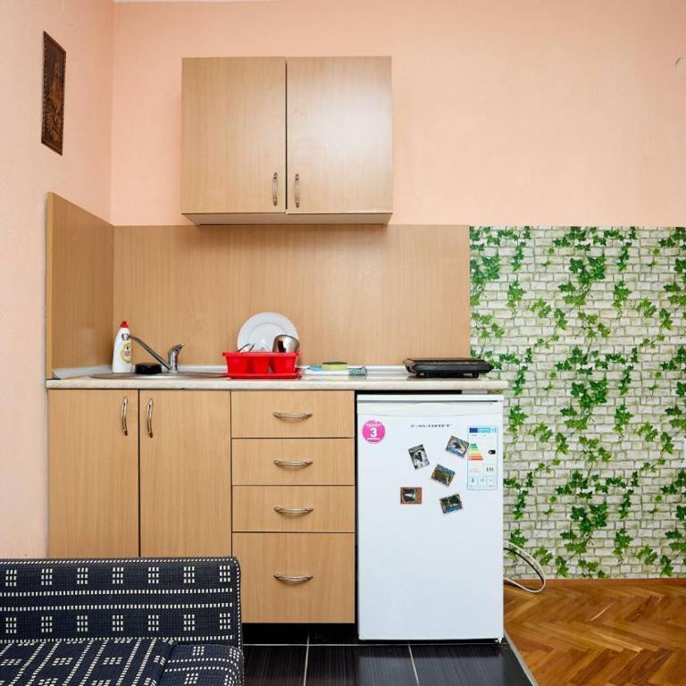 Apartmani Stanojevic Sokobanja - Apartman - 4