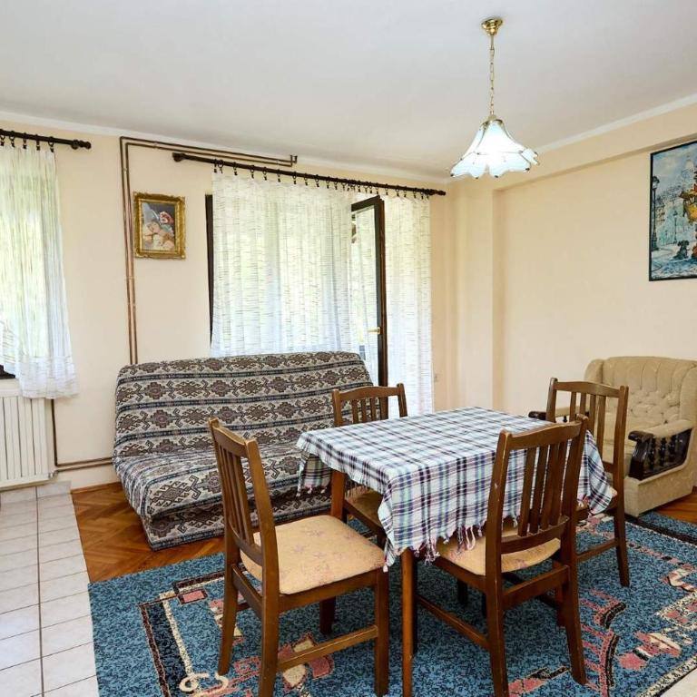 Apartmani Stanojevic Sokobanja - Apartman - 9