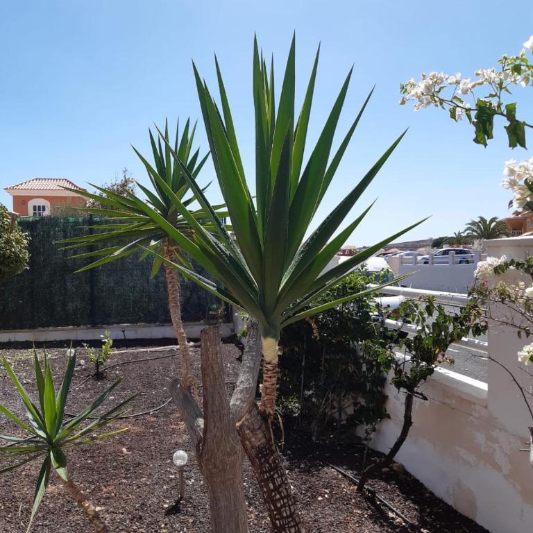 Villa Dwarika, Home Away From Home - Private heated pool - Villa - 22