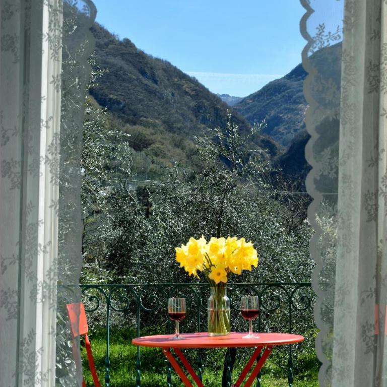 Agriturismo Conca Sandra - Farm Stay on Lake Como - Appartamento - 12