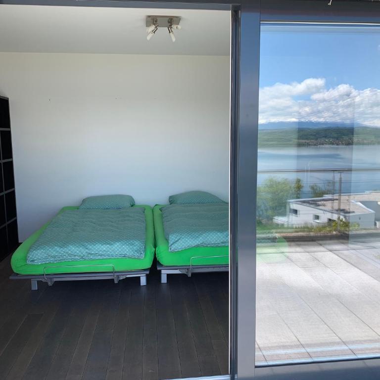 Villa au bord du lac de Morat avec vue imprenable - Villa mit 2 Schlafzimmern - 16