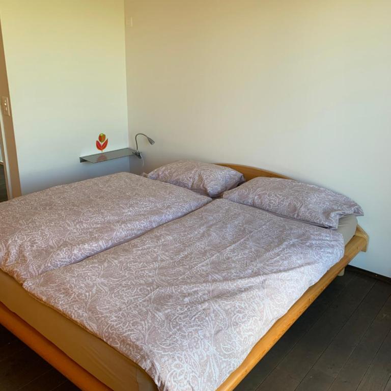 Villa au bord du lac de Morat avec vue imprenable - Villa mit 2 Schlafzimmern - 6