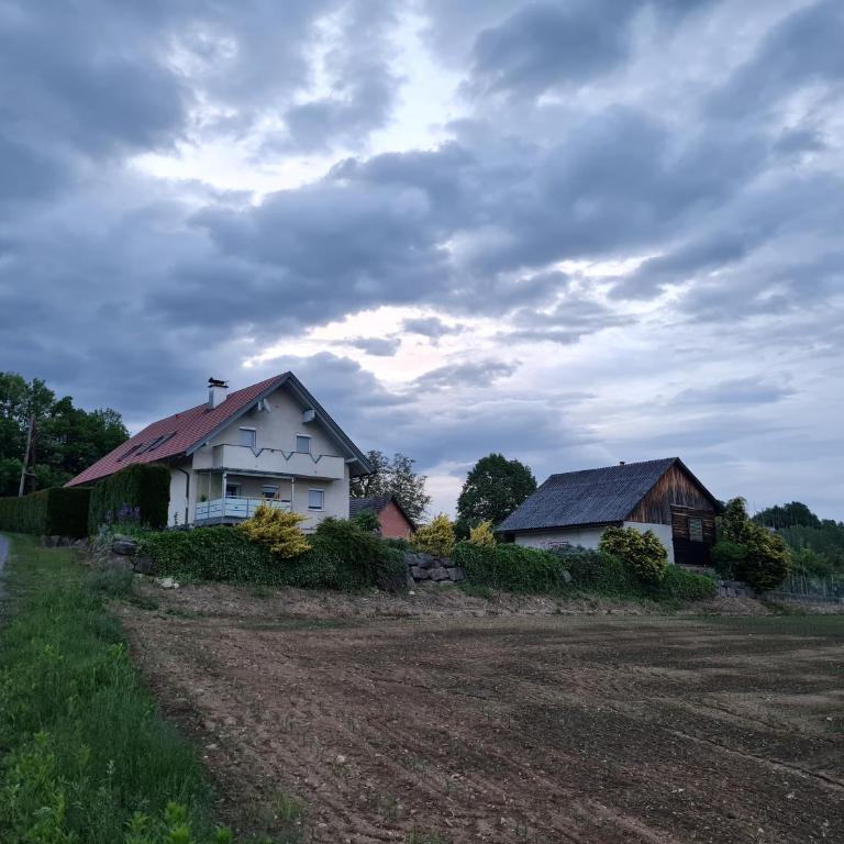 DAHOAM by Fam. FRANZ - Apartment mit Terrasse - 42