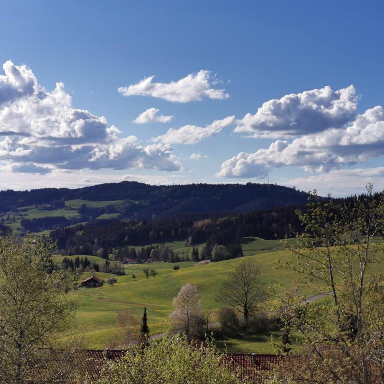 Allgäuer Ausblick - One-Bedroom Apartment - 3