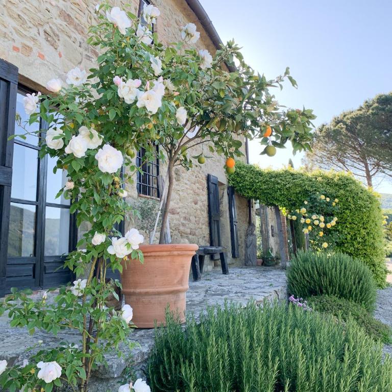 Villa Montanare - romantic escape Tuscany - Monolocale su 2 Livelli - 13