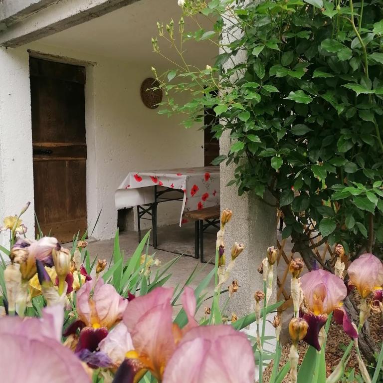 Agriturismo Conca Sandra - Farm Stay on Lake Como - Appartamento - 13