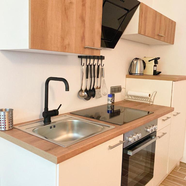 APARTMENTS zum Wohlfühlen MARIAZELL - Studio - 24