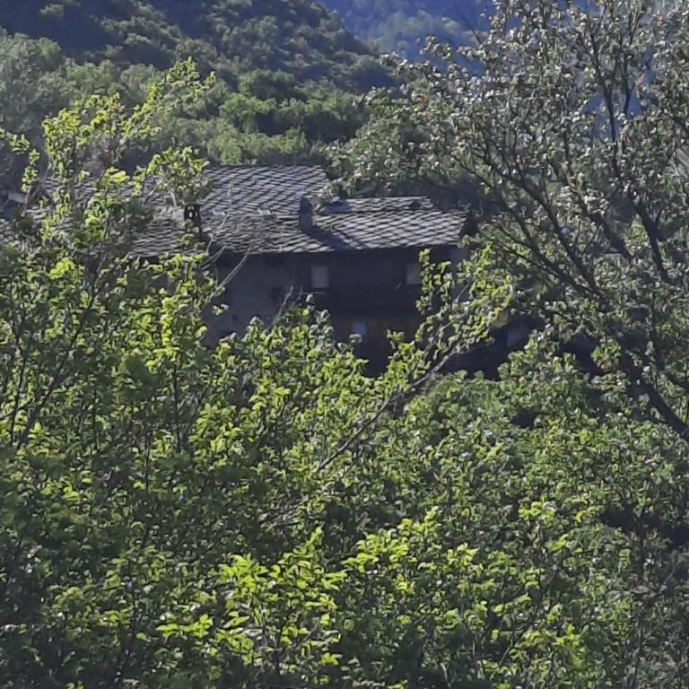 il Battito - Casa Vacanze - 12