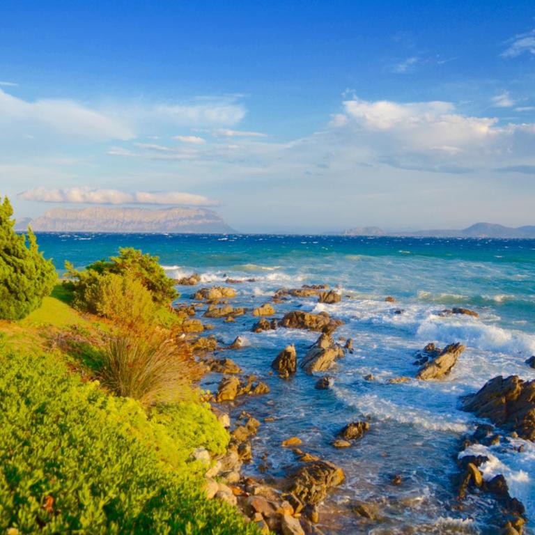 casavacanza golfo aranci - Vacation Home - 41