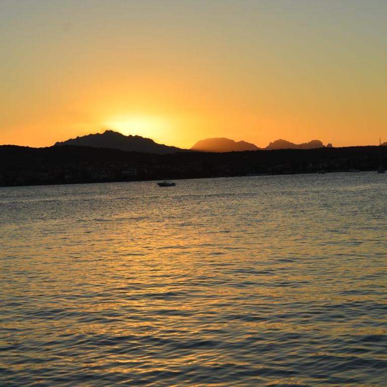 casavacanza golfo aranci - Vacation Home - 45