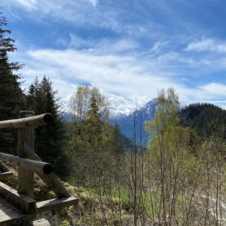 Residenz Panorama - Blatten bei Naters VS - Apartment mit 2 Schlafzimmern - 100