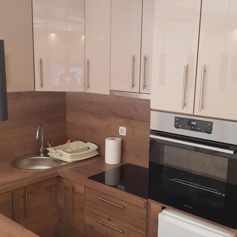Lux Apartman Bogosavljevic - One-Bedroom Apartment - 8