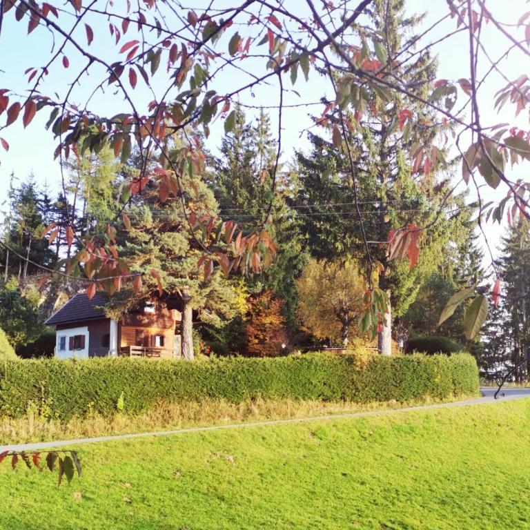 Waldheimat - Apartment mit 2 Schlafzimmern - 2