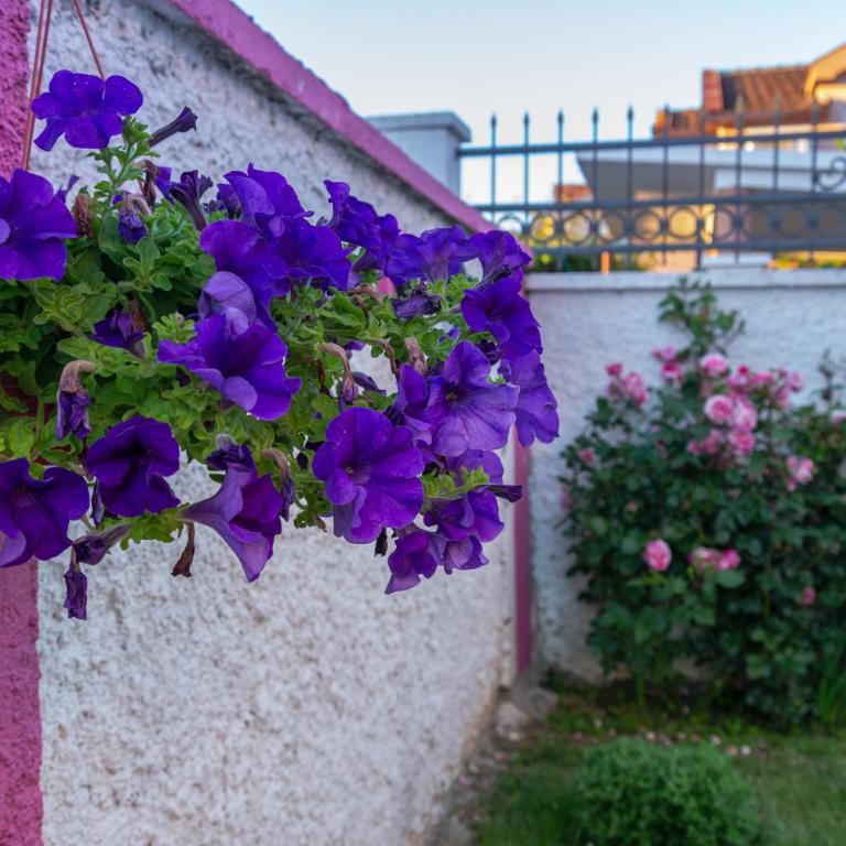 Apartman Mona - Two-Bedroom Apartment - 40