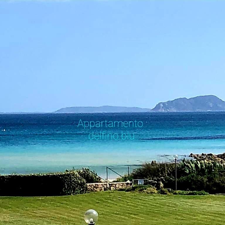 Appartamenti delfini terza spiaggia - Appartamento con 2 Camere da Letto e Vista Mare - 2