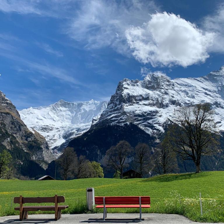Luxury, new - amazing views Grindelwald Eiger Jungfrau Mönch - Three-Bedroom Apartment - 2