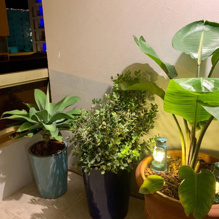 Magnifique 3 pièces en plein cœur de Cannes - Apartamento de 2 dormitorios - 27