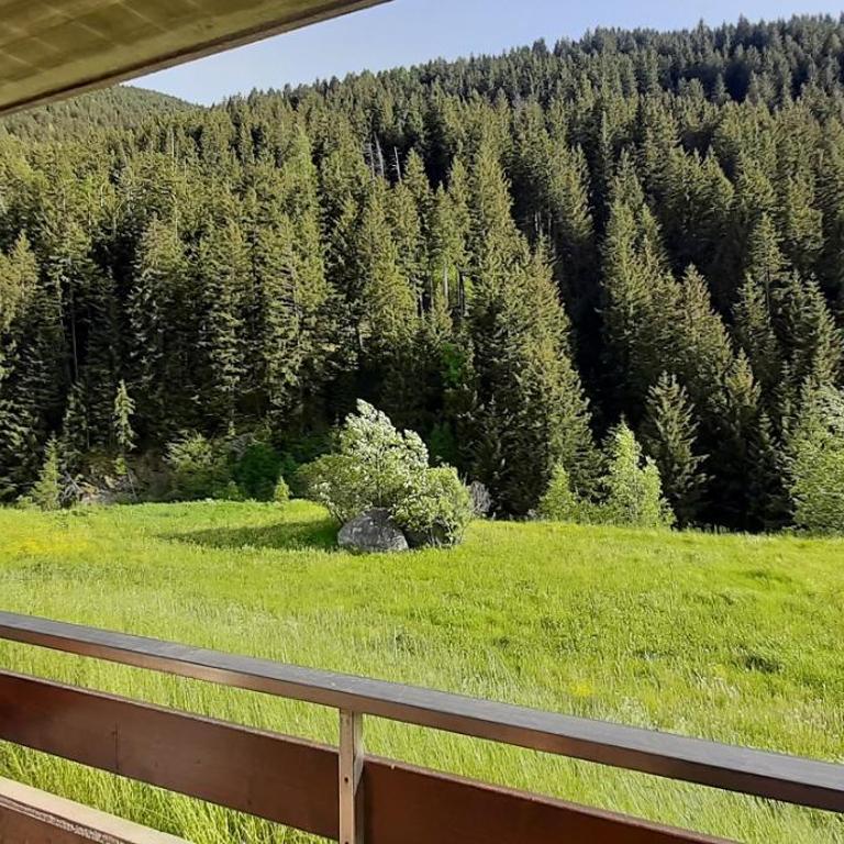 DOMUS ALPINA - Appartamento con Vista Giardino - 2