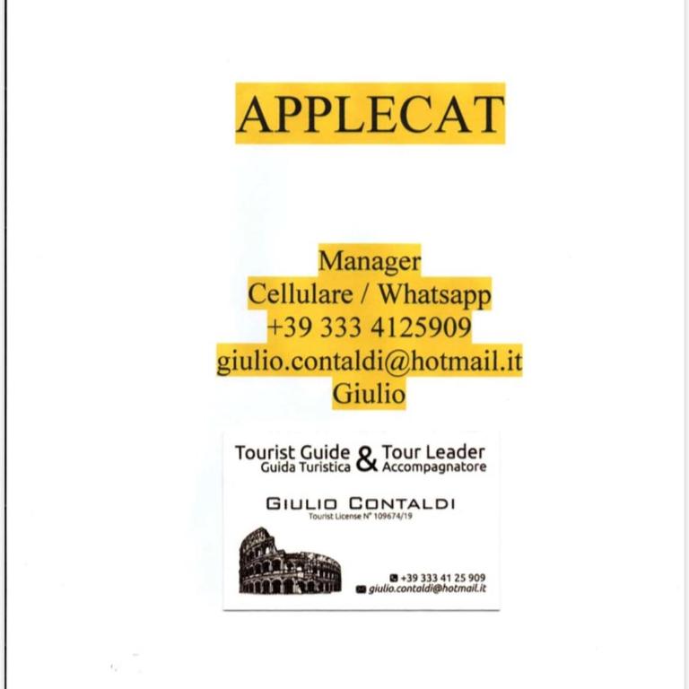 AppleCat - Camera Matrimoniale con Balcone - 3