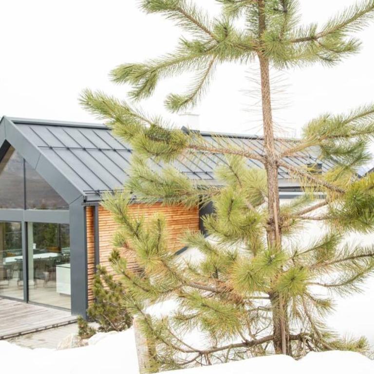 Exclusive Alpenlodge ski in ski out Galsterberg - Three-Bedroom House - 8