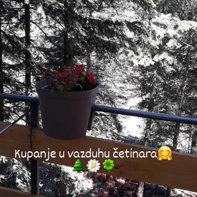 Apartmani Trio sa terasom - Apartman sa Terasom - 1