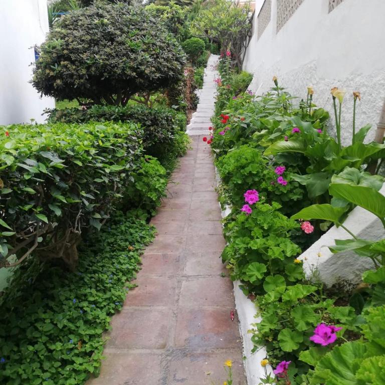 Apartamento LA DORADA - Estudio - 14