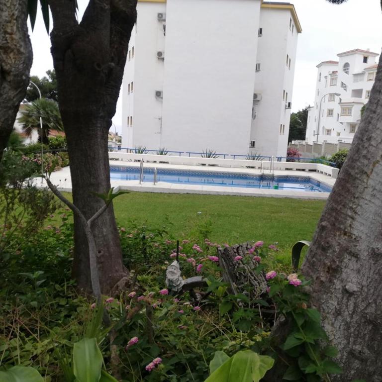 Apartamento LA DORADA - Estudio - 13