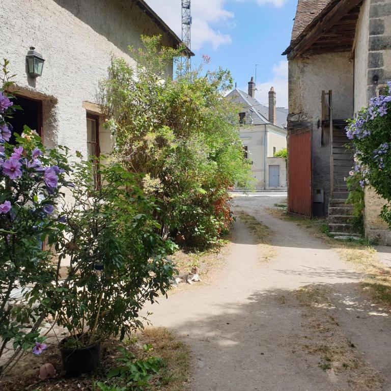 Aux Ecuries du Signe - Maison 3 Chambres - 10