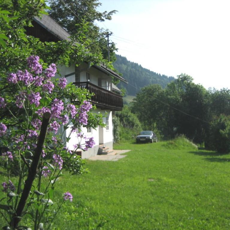 Ferienhaus Mesnerhaus Steuerberg - Casa - 3