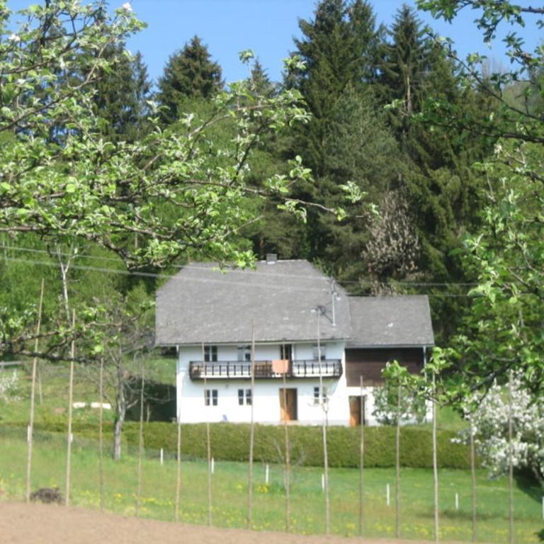 Ferienhaus Mesnerhaus Steuerberg - Casa - 2